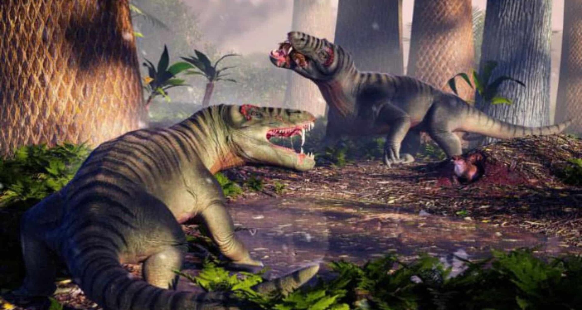 265 Million Year Old Fossil Reveals The Largest South American Prehistoric Predator