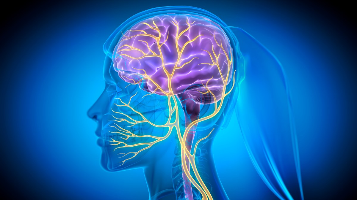 The new secret to managing stress: the ‘vagus nerve’