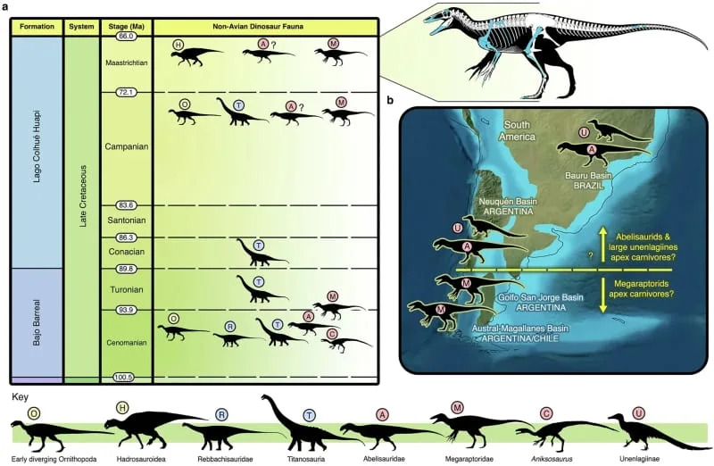 Dinosaur fauna of the Chubut Group and hypothesized distribution of theropod apex predators in the latest Cretaceous of southern South America. (CREDIT: Nature Communications)