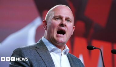 Illuminated: The Cat Killer Detectives