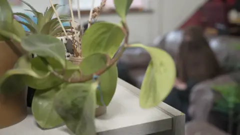 Habiba is pictured, on the right, heavily blurred and to the right of a plant that is in focus. Her identity has been concealed