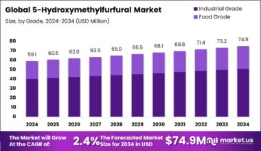 5-Hydroxymethylfurfural Market