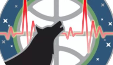 Timberwolves Survey: Canis Pulsus Vol. 44 - Season Predictions