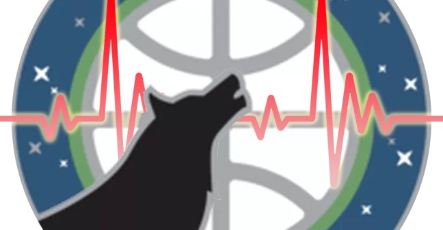 Timberwolves Survey: Canis Pulsus Vol. 44 - Season Predictions
