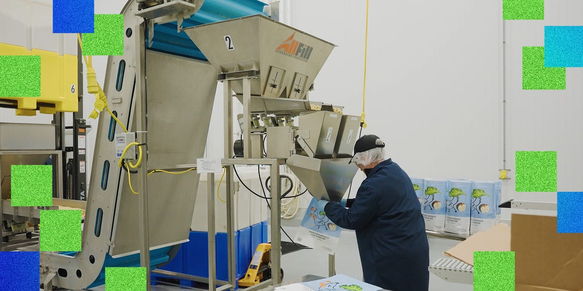 Automated Robotics, AI Algorithms Boost Manufacturing in New Factories