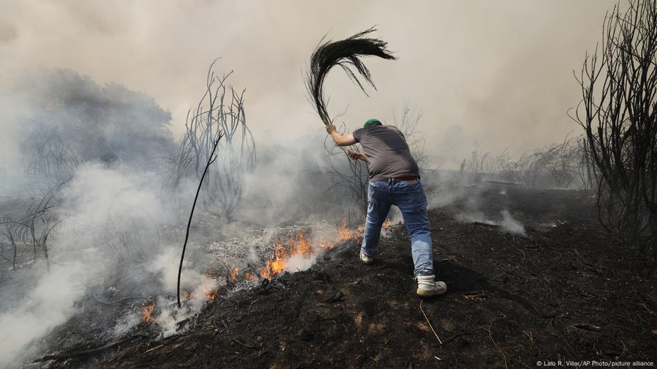 Wildfires fuel air pollution, says UN Report – DW – 09/05/2025