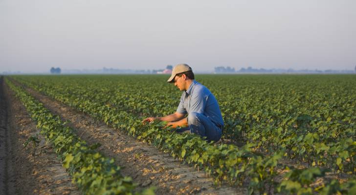 Banker warns we could lose US farmers at alarming rate unless Trump puts ‘arms around them’ — here's what's hurting them