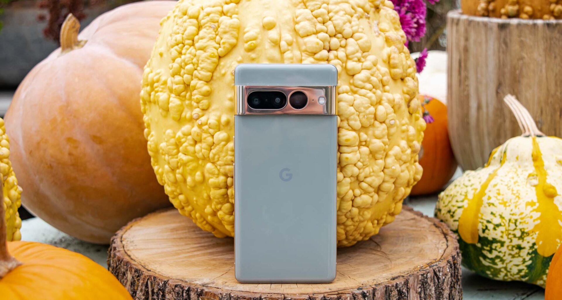 Google Pixel 7 Pro back view