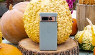 Google Pixel 7 Pro back view