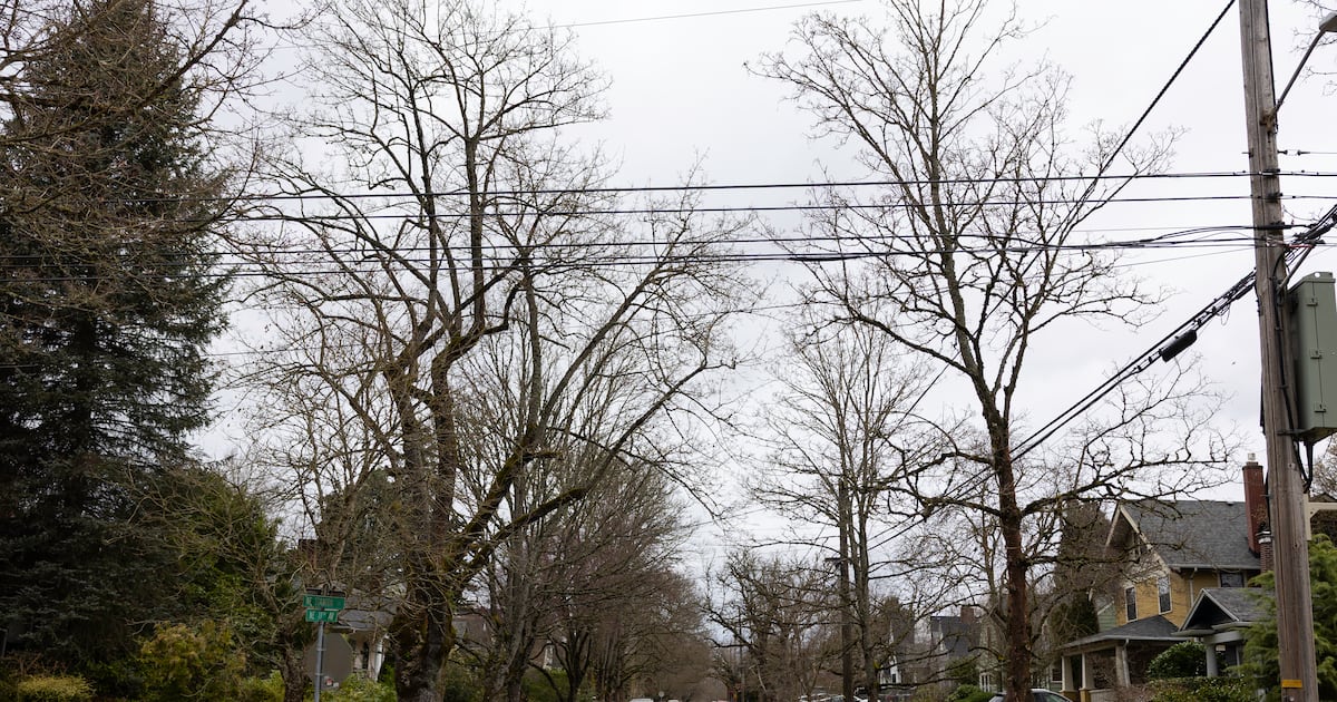 City Council Ordinance Would Waive Tree Planting Requirements for Certain Internal Projects