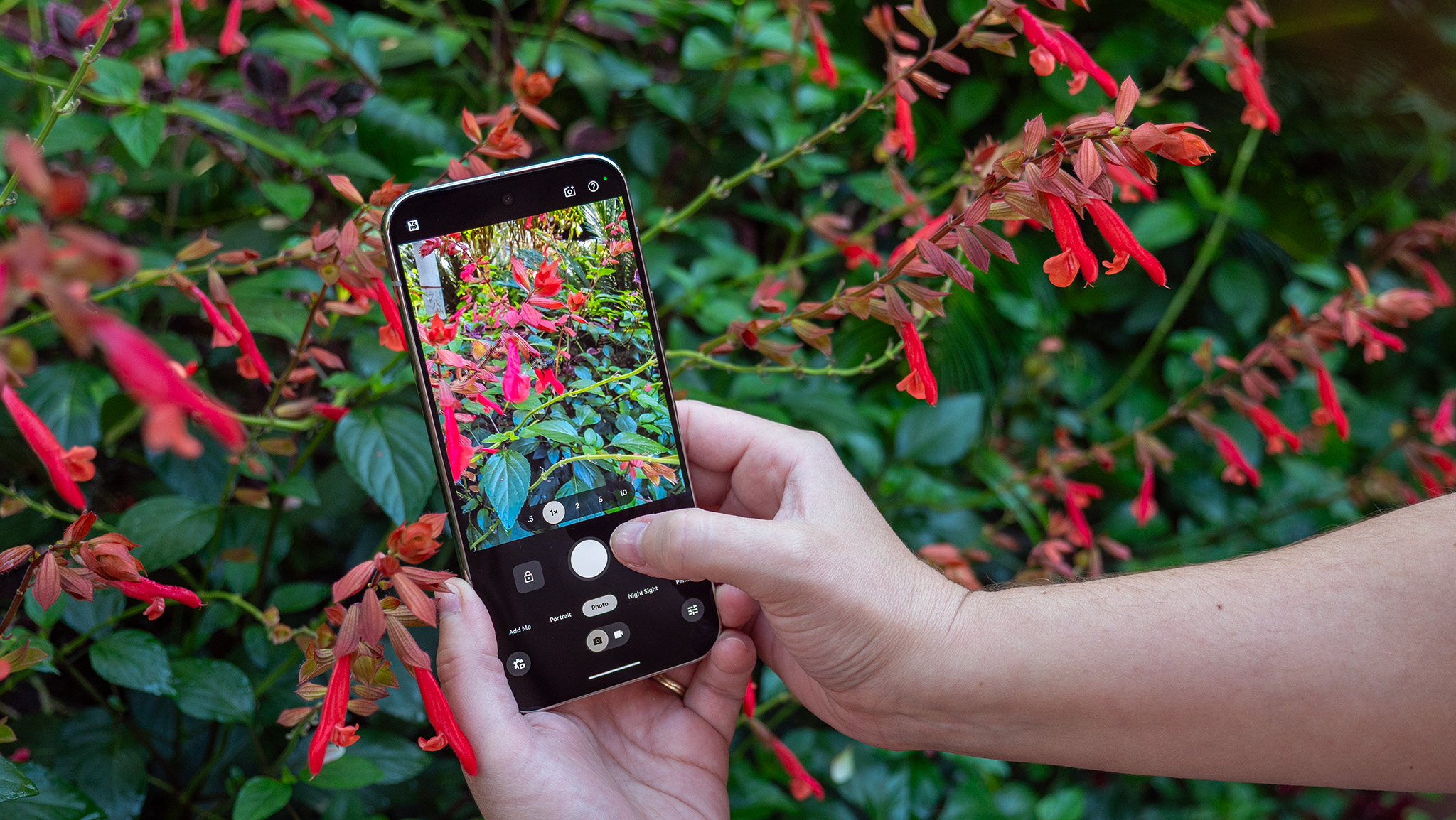 Using a Google Pixel 10 Pro XL to take a photo of red flowers up close