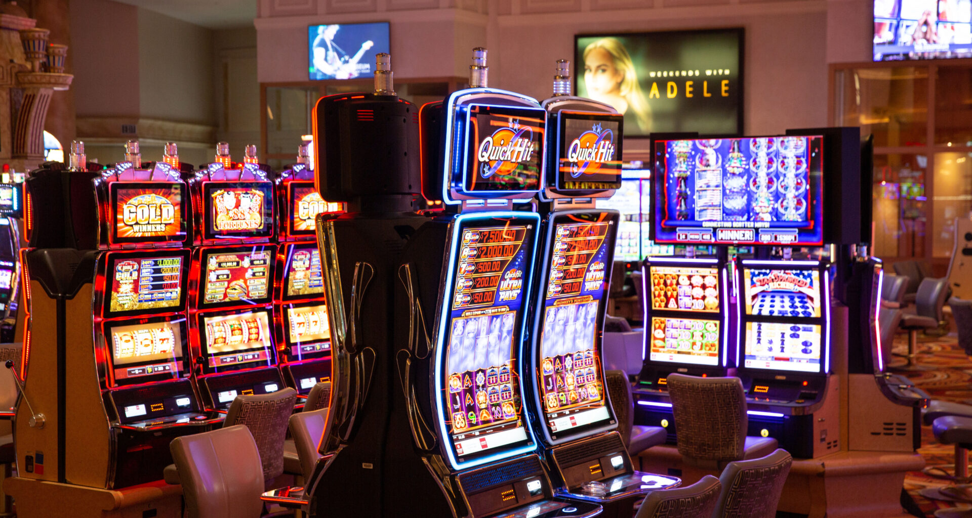 Cowboy State Daily logo