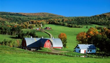 The Regulatory Review