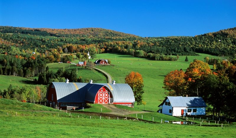 The Regulatory Review