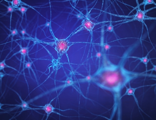 Mount Sinai study maps protein networks driving Alzheimer’s disease pathogenesis