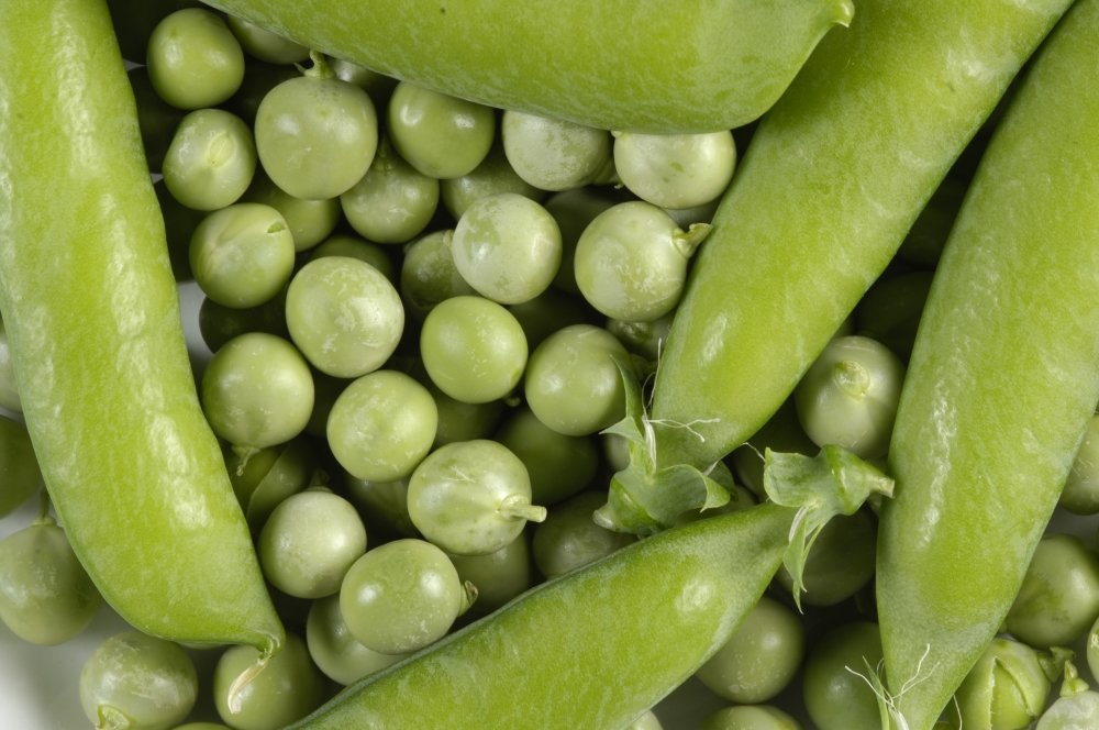 John Innes Enterprises and Traitomic announce strategic collaboration to accelerate crop improvement