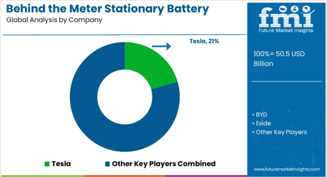 Behind The Meter Stationary Battery Storage Market Analysis By Company