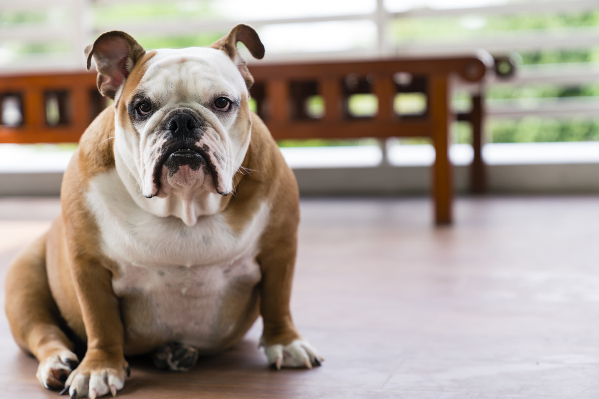 Yahoo lifestyle home