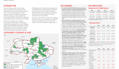 Ukraine: Joint Market Monitoring Initiative (JMMI) - January - June 2025 - Ukraine