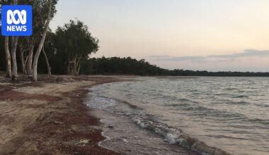 Search underway for fisherman overboard in waters off Weipa in Far North Queensland