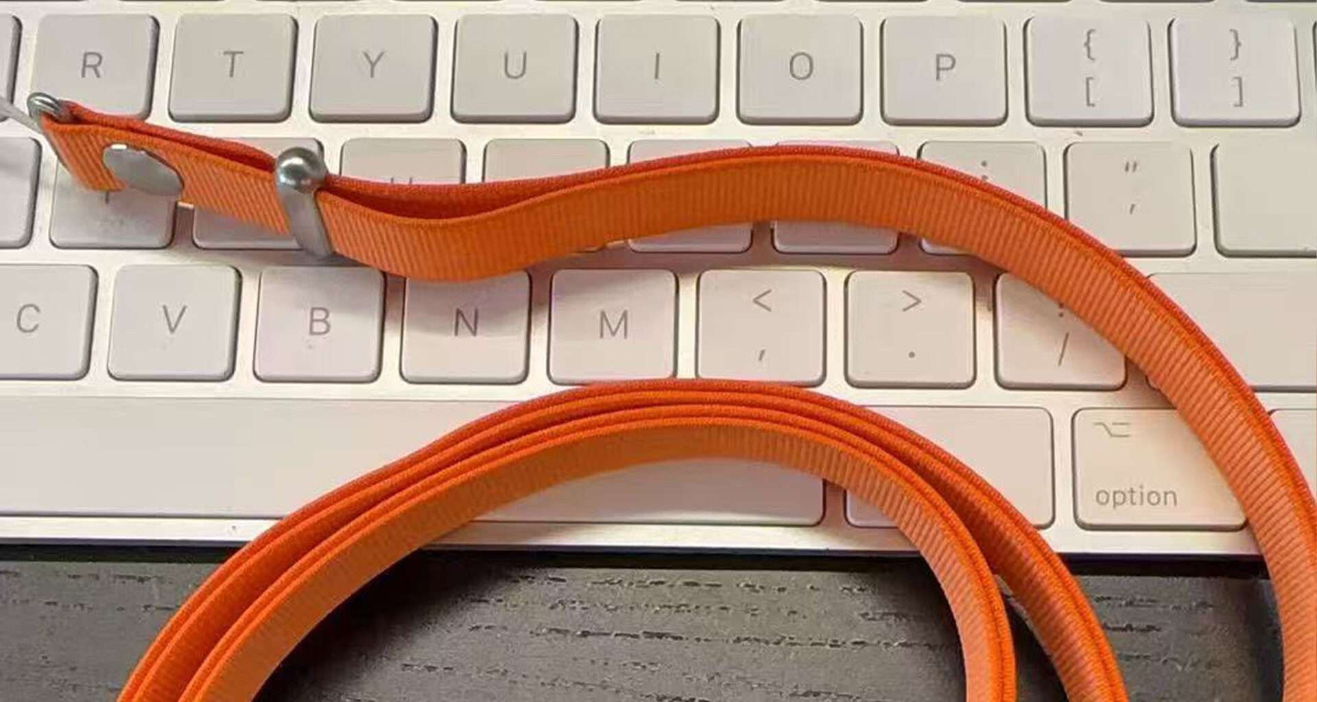 Sonny Dickson iPhone strap