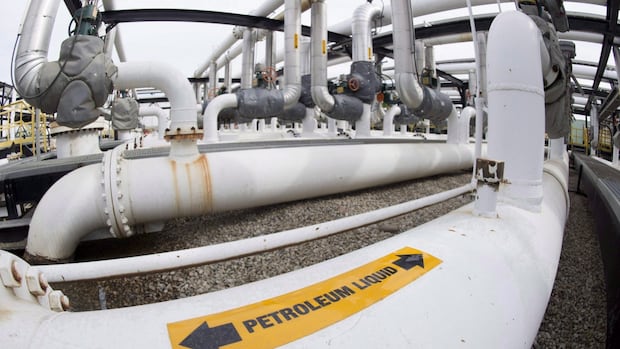 Why Trans Mountain wants to expand when the oil pipeline isn't even full