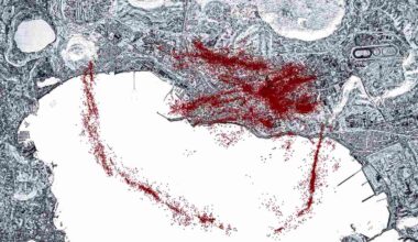 AI helps reveal hidden earthquakes in Italy’s Campi Flegrei