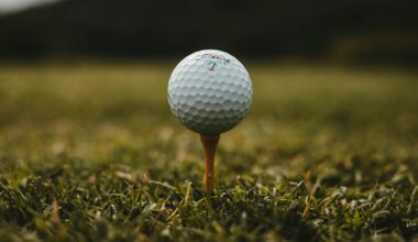 Faldo wants to ban long tees