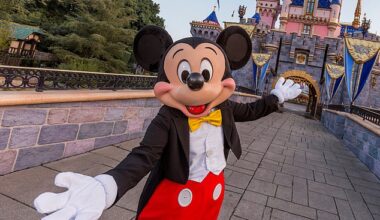 While getting to portray a character at a Disney theme park may seem like a dream come true to some, an alleged new document has seemingly revealed how hard the job is (stock image)