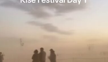 Furious festivalgoers slammed organizers for 'ridiculous' mismanagement at the RISE Festival in the Las Vegas desert over the weekend