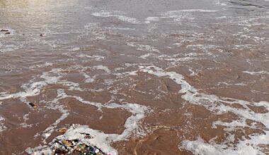 Philadelphia had at least one drain that overflowed with the horrid waste an average of 65 days a year from 2016 to 2024, according to a new report