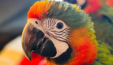 Yahoo lifestyle home