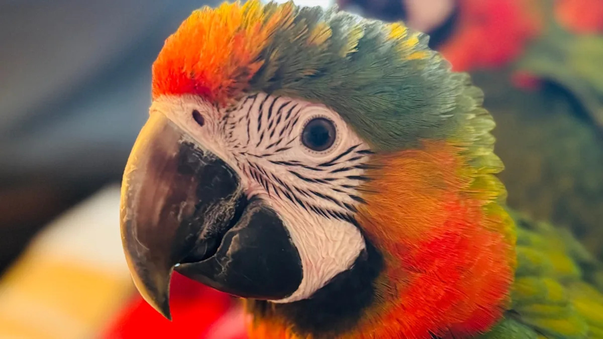 Yahoo lifestyle home