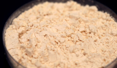 Pea protein at Burcon's alternative meats protein lab in Winnipeg