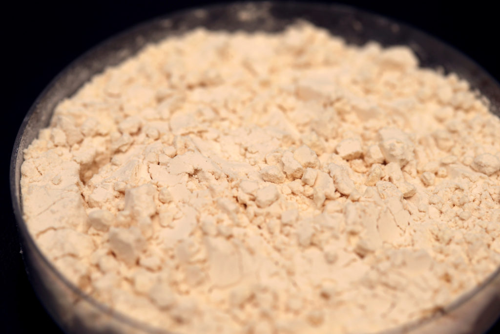 Pea protein at Burcon's alternative meats protein lab in Winnipeg