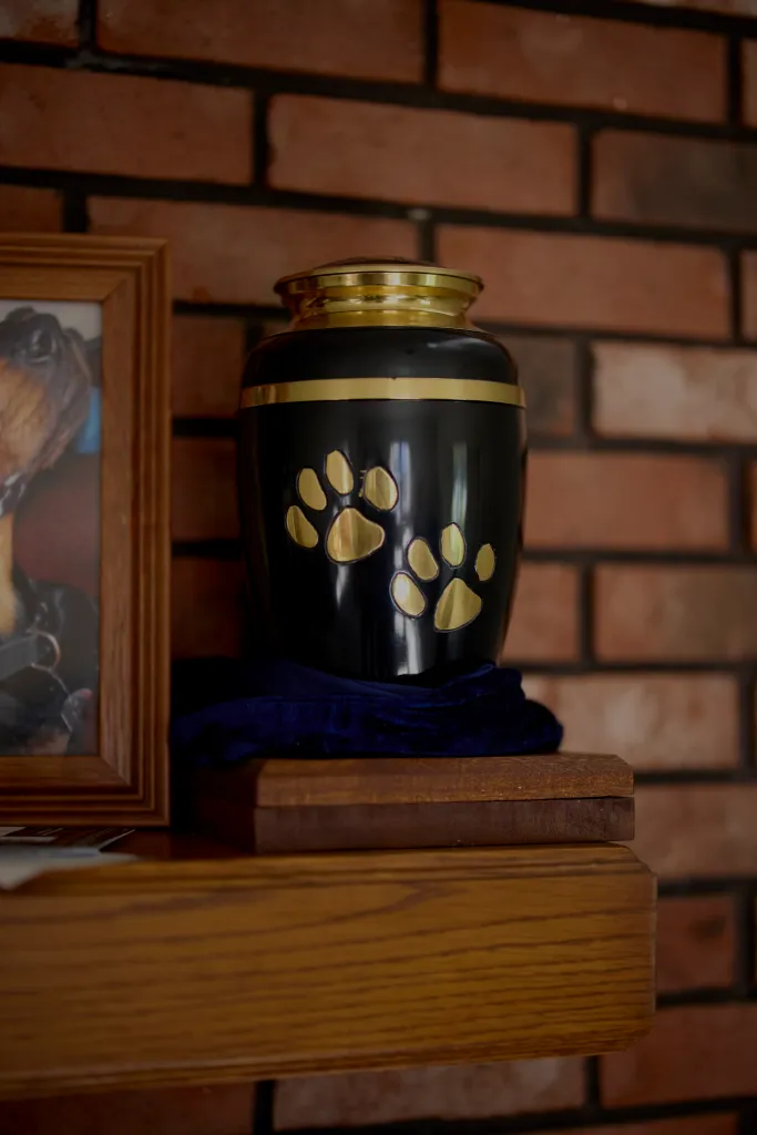 A black urn with two gold paw prints sits on a wooden mantle.