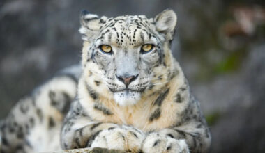 Yahoo lifestyle home