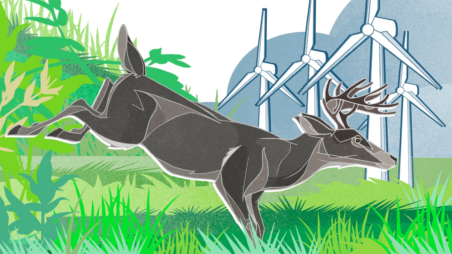 Illustration of a deer leaping through grass with wind turbines in the background. The illustration style is geometric shapes combined with silhouette-style plants and big round clouds for sky in the background.
