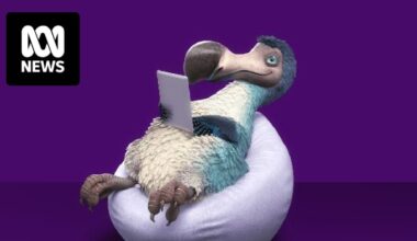 Dodo and iPrimus hack impacts more than 1,600 home internet, email and mobile customers