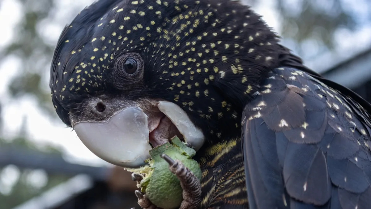 Yahoo lifestyle home