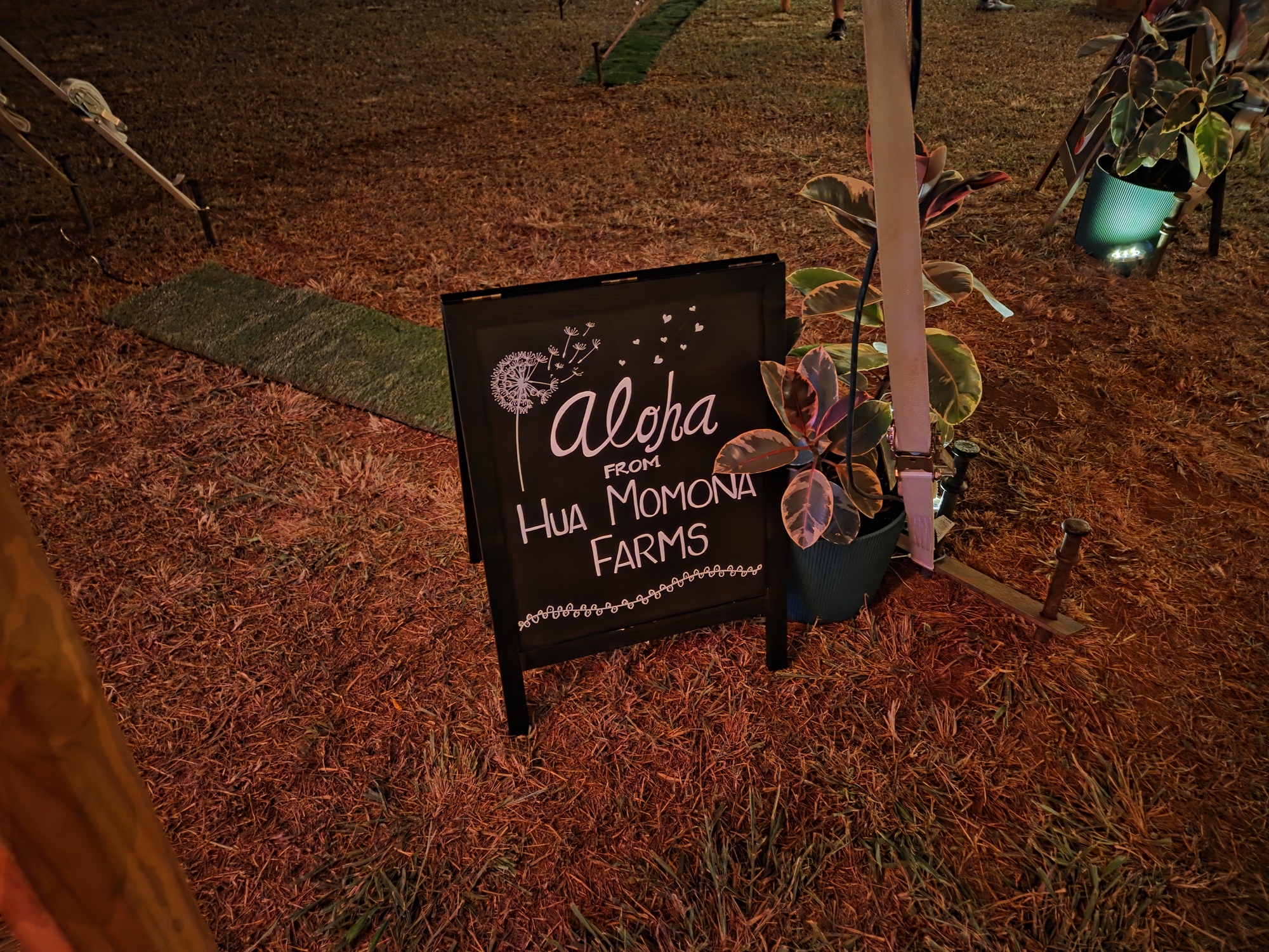 Sign at night by Galaxy S25 Plus