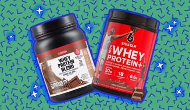 best cheap protein powder