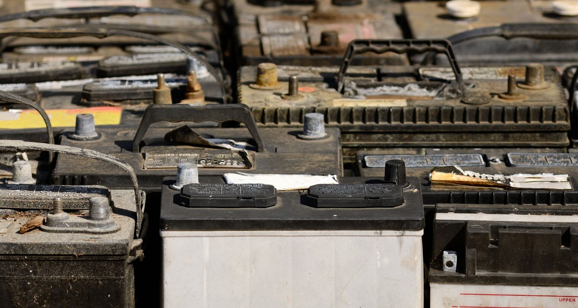 What killed Napoleon’s army? Scientists finally uncover the 200-year-old truth