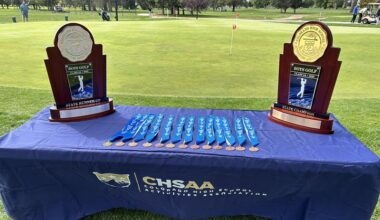 Boys Golf: Final Results from the 2025 State Championships