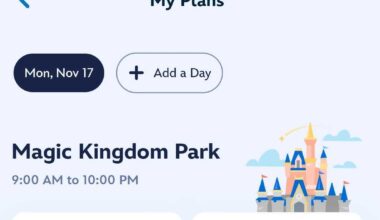 A digital planner on the Disney World app displays Magic Kingdom plans, 9 AM–10 PM, with preference options—no castle visible.