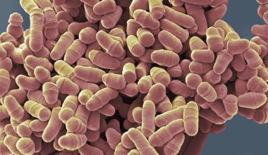 A New Class of Drug Created That Fights Aging on a Cellular Level : ScienceAlert