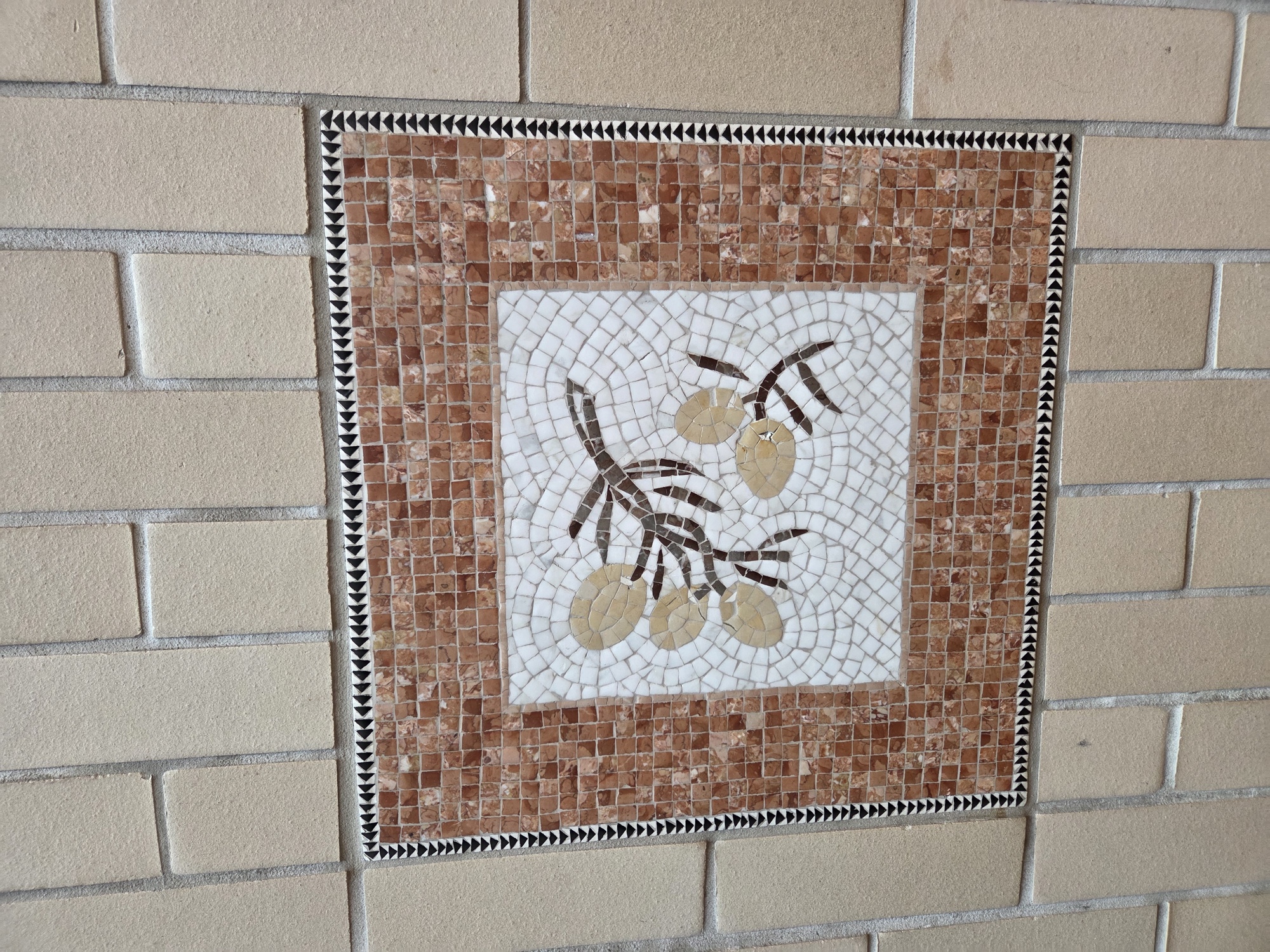 tile shot by Galaxy S25 Plus