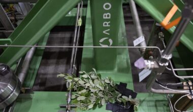 California needs biomass energy. Its projects keep going South