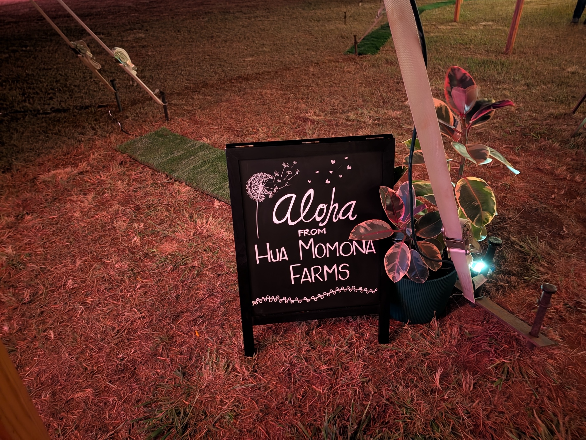 Sign at night by Pixel 10 Pro