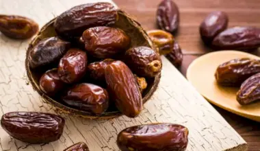 Fresh or Dried Dates: Which is Better in Terms of Fiber and Nutrients?